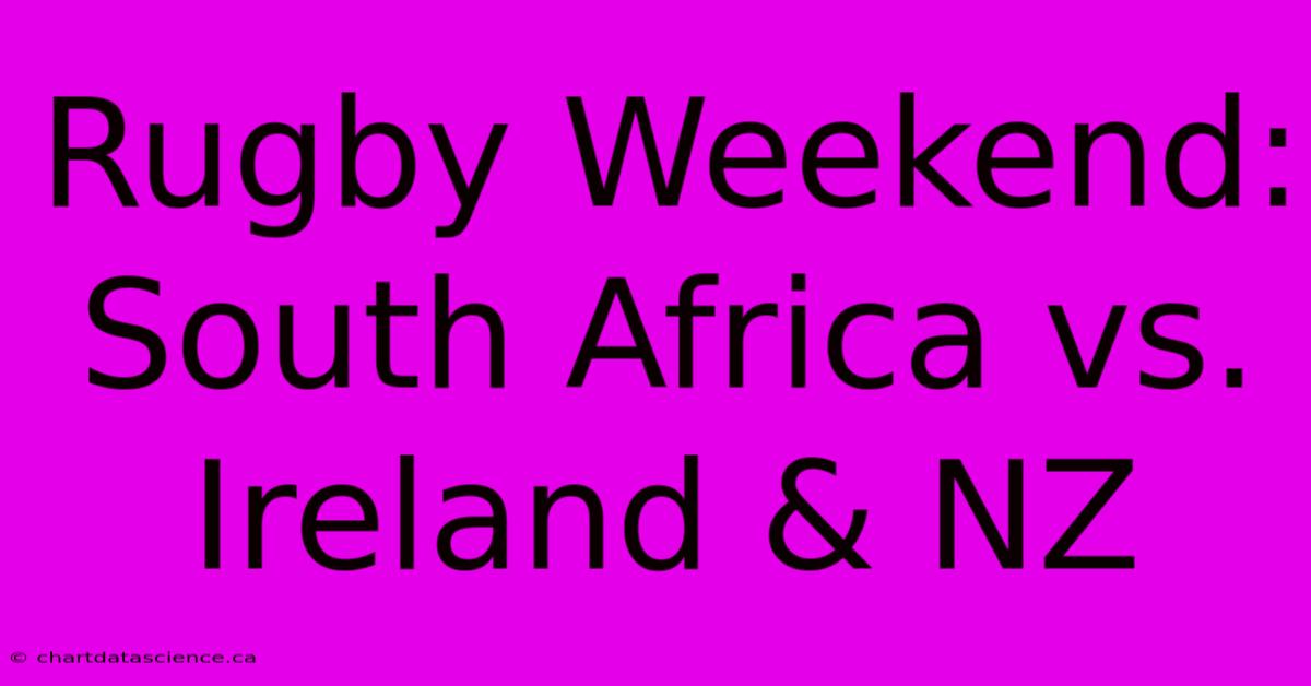 Rugby Weekend: South Africa Vs. Ireland & NZ