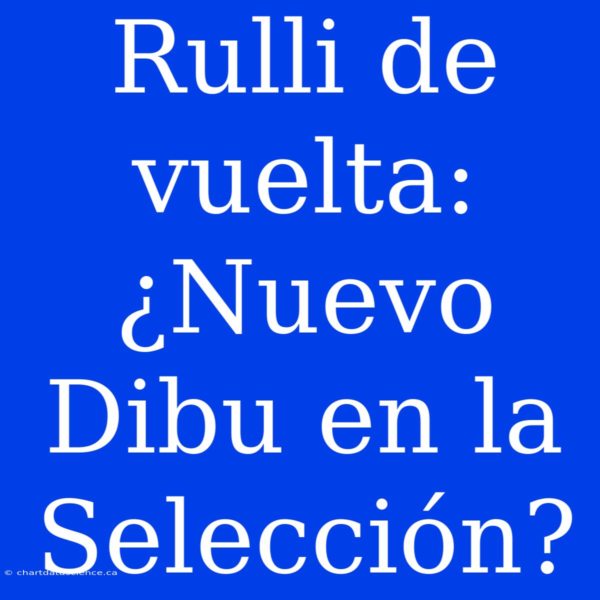 Rulli De Vuelta: ¿Nuevo Dibu En La Selección?