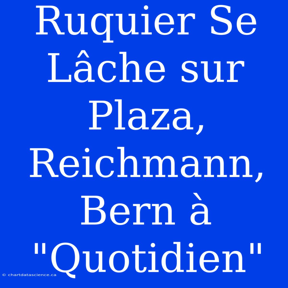 Ruquier Se Lâche Sur Plaza, Reichmann, Bern À 