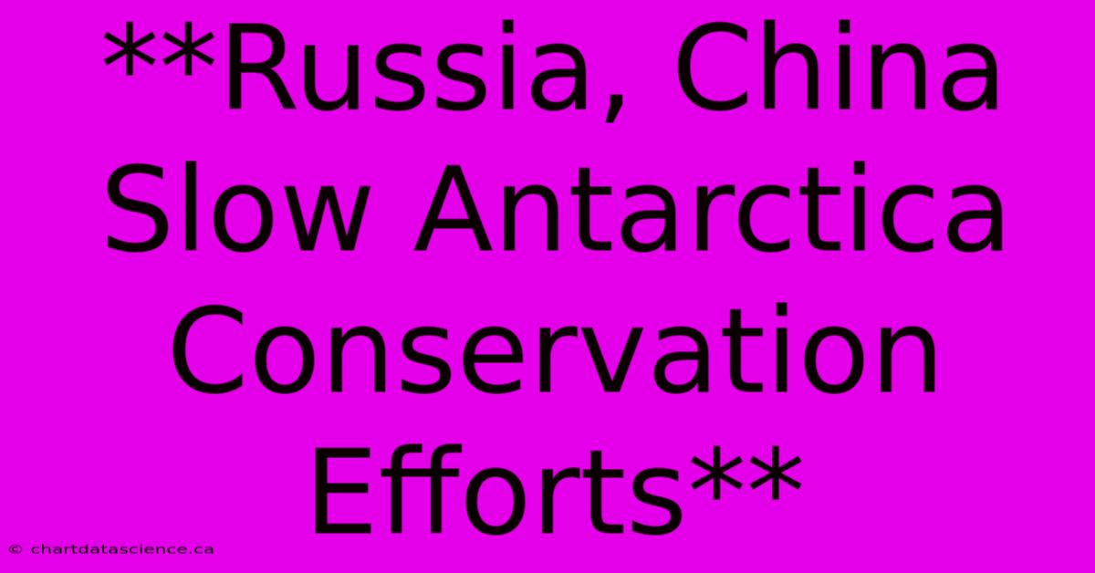 **Russia, China Slow Antarctica Conservation Efforts**