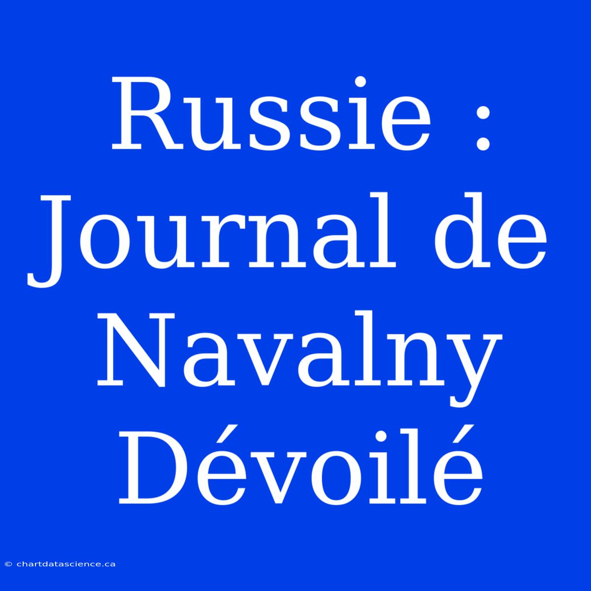 Russie : Journal De Navalny Dévoilé