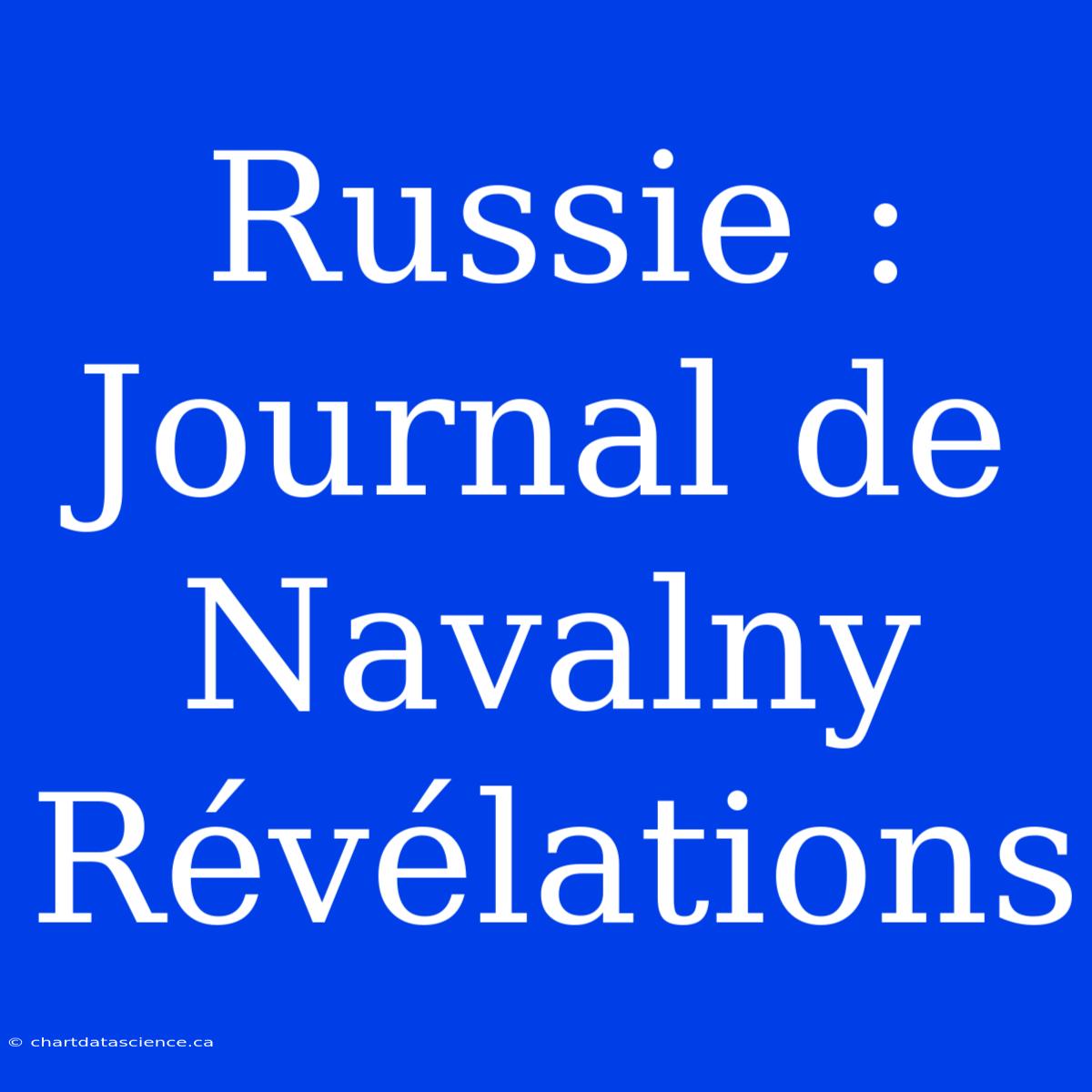 Russie : Journal De Navalny Révélations