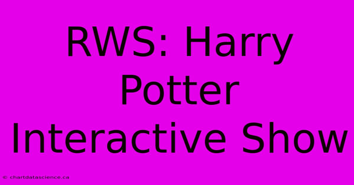 RWS: Harry Potter Interactive Show