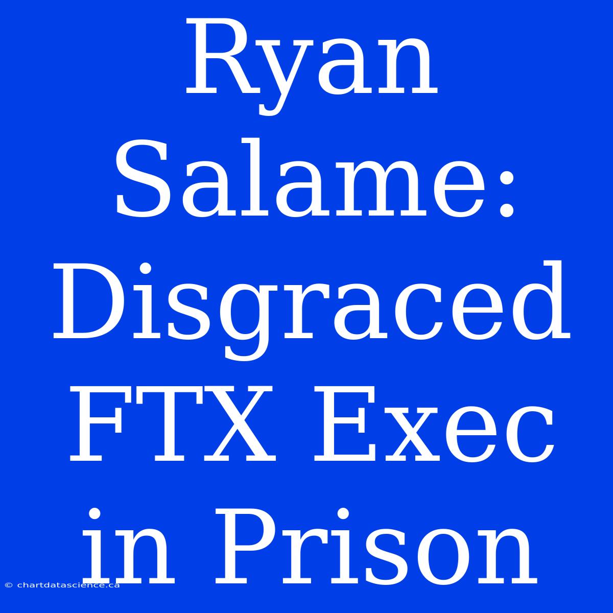 Ryan Salame: Disgraced FTX Exec In Prison