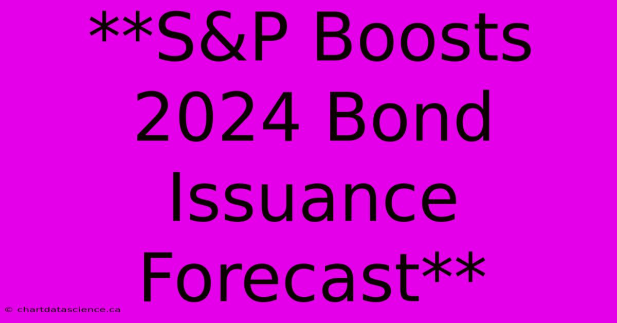 **S&P Boosts 2024 Bond Issuance Forecast**