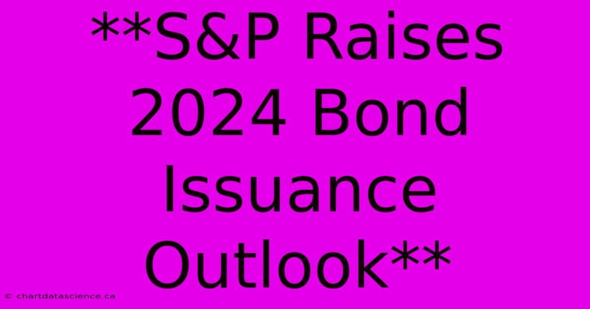 **S&P Raises 2024 Bond Issuance Outlook**