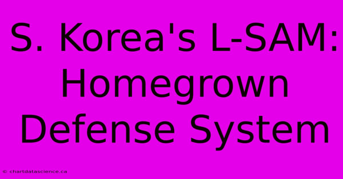 S. Korea's L-SAM: Homegrown Defense System