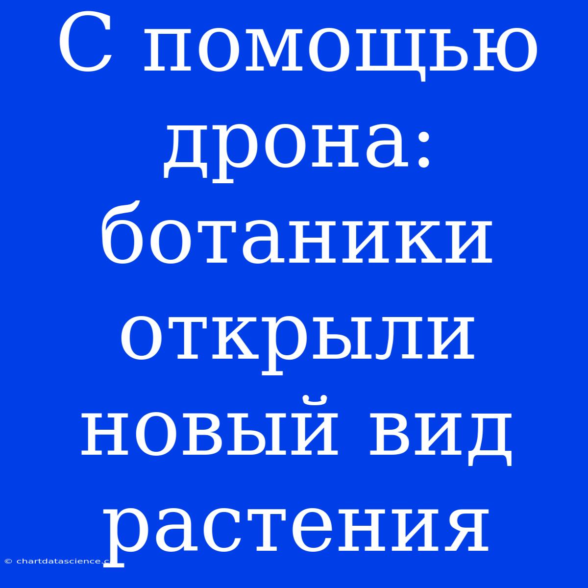 С Помощью Дрона: Ботаники Открыли Новый Вид Растения