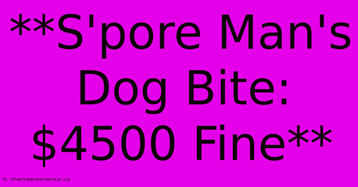 **S'pore Man's Dog Bite: $4500 Fine**