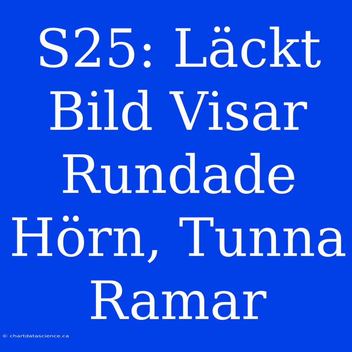 S25: Läckt Bild Visar Rundade Hörn, Tunna Ramar