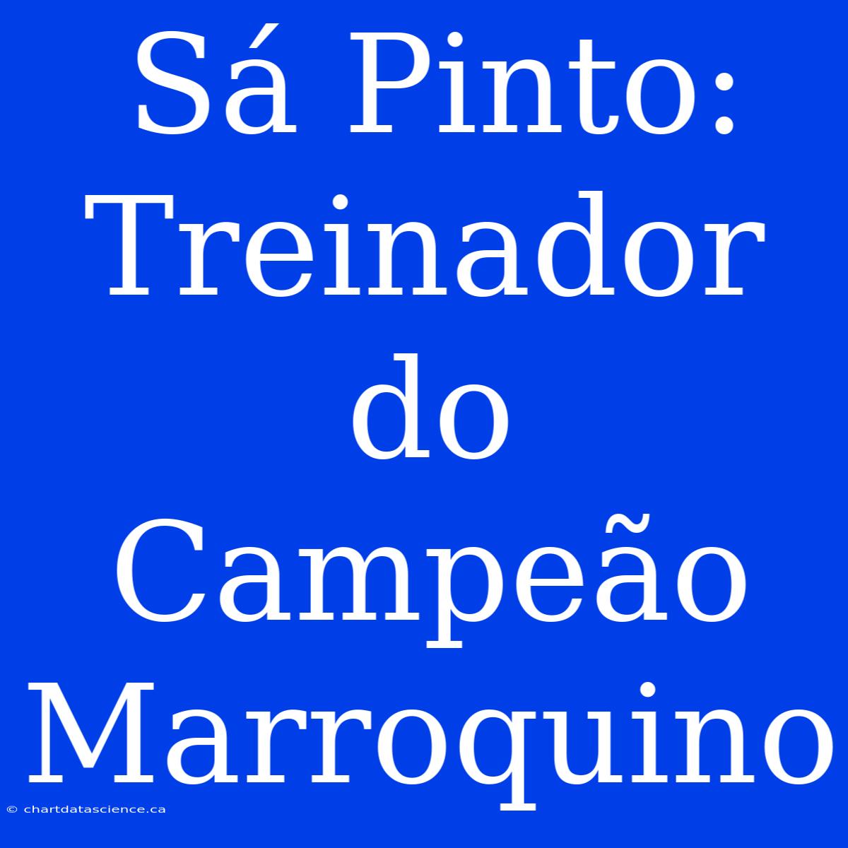 Sá Pinto: Treinador Do Campeão Marroquino