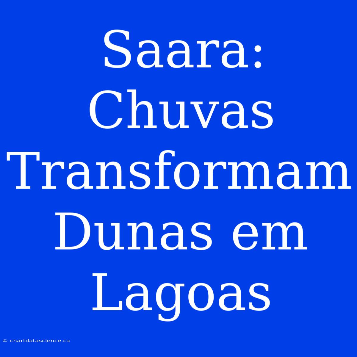 Saara: Chuvas Transformam Dunas Em Lagoas