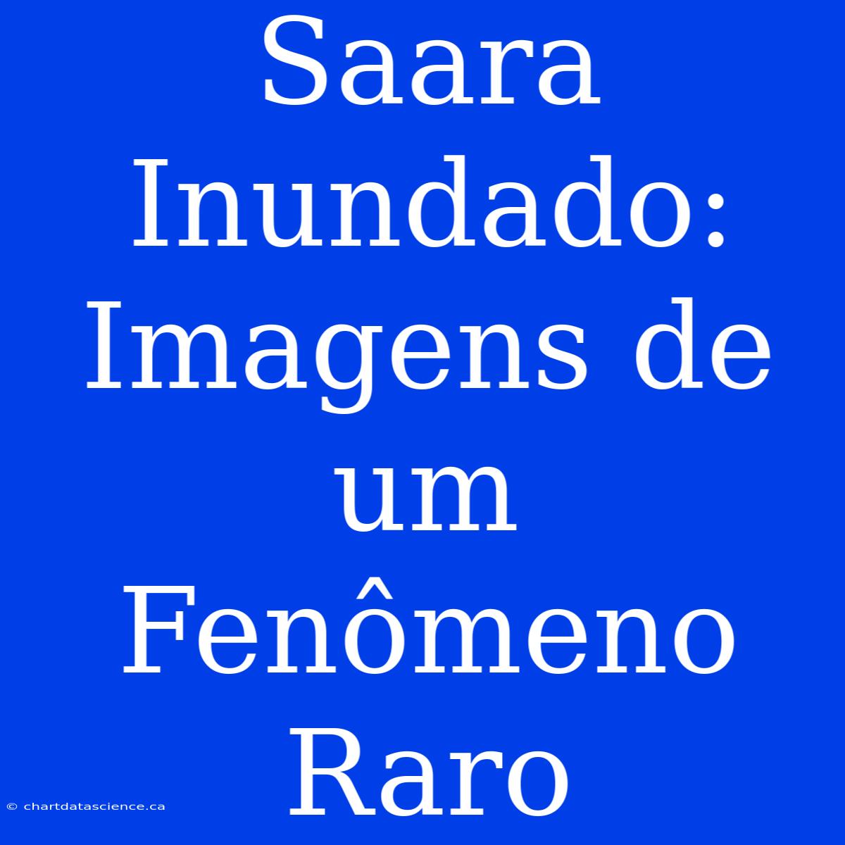 Saara Inundado: Imagens De Um Fenômeno Raro