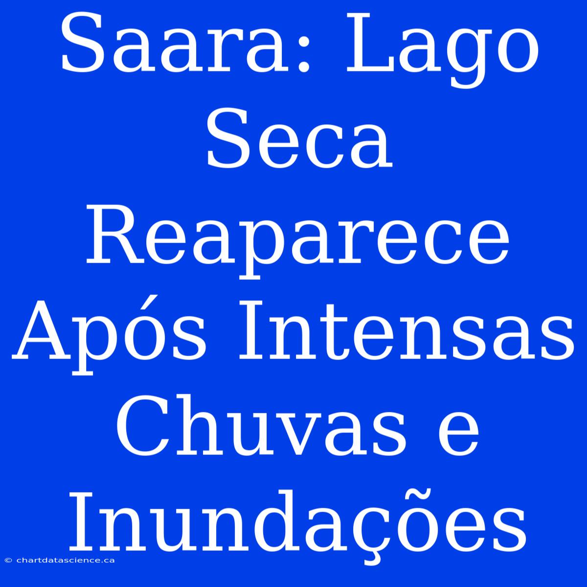 Saara: Lago Seca Reaparece Após Intensas Chuvas E Inundações