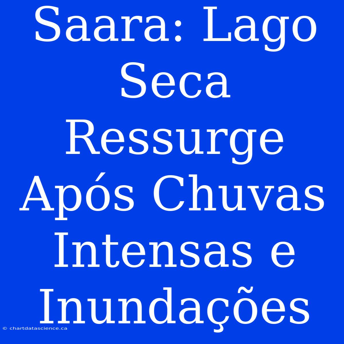 Saara: Lago Seca Ressurge Após Chuvas Intensas E Inundações