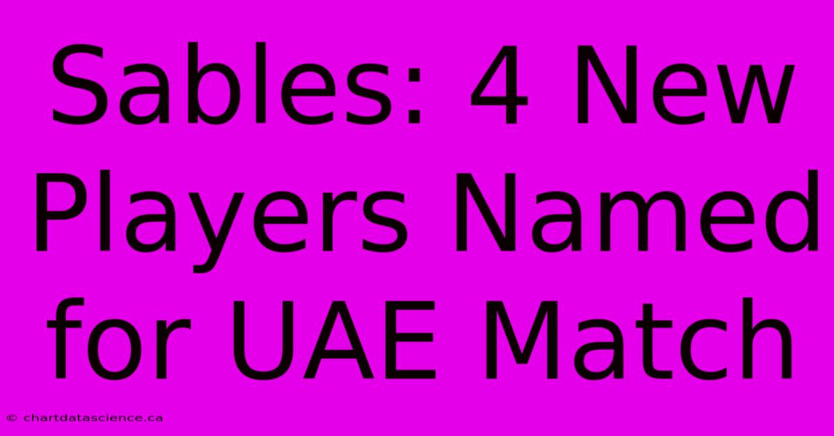 Sables: 4 New Players Named For UAE Match