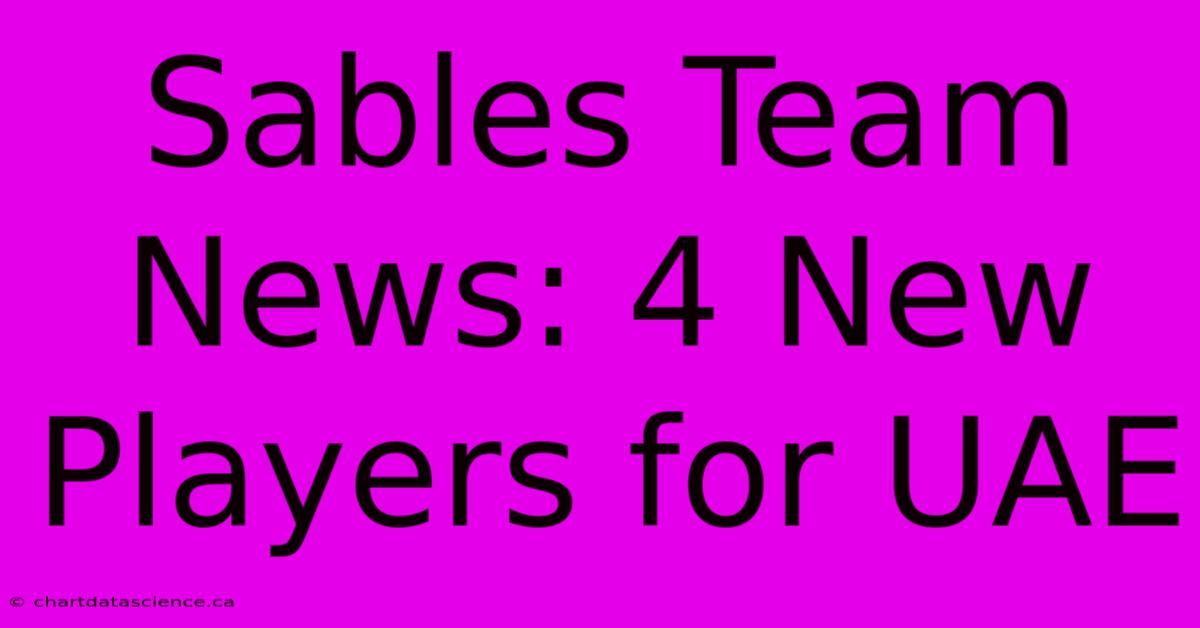 Sables Team News: 4 New Players For UAE