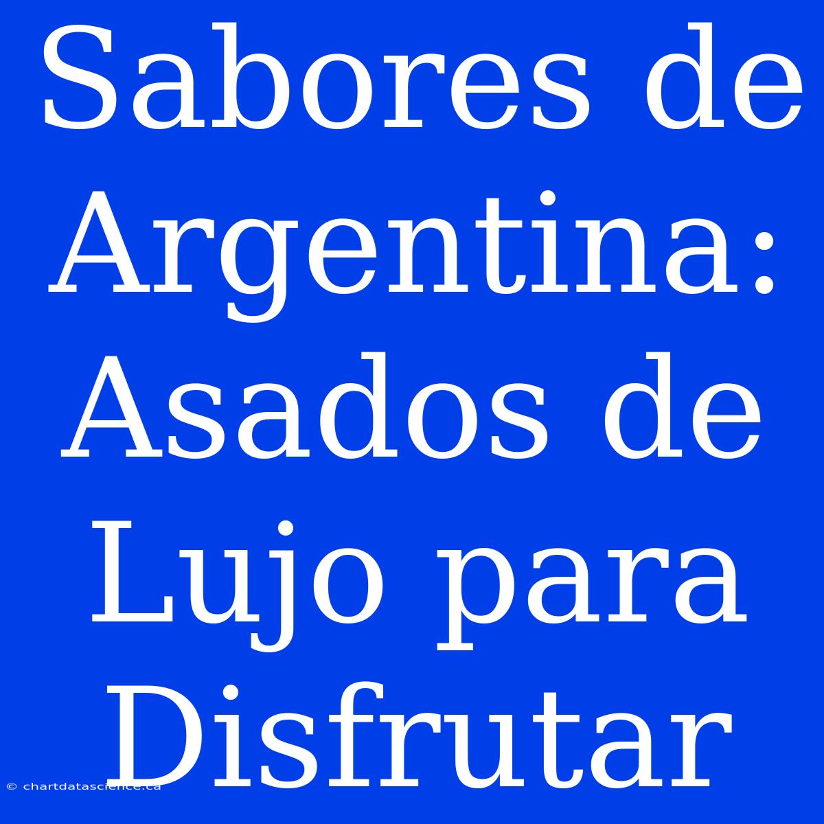 Sabores De Argentina: Asados De Lujo Para Disfrutar