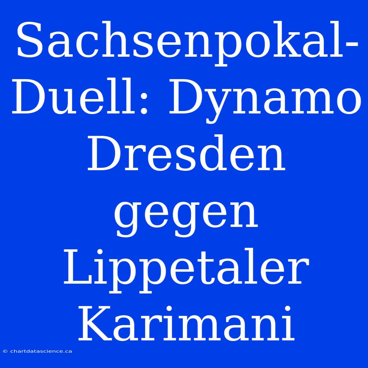 Sachsenpokal-Duell: Dynamo Dresden Gegen Lippetaler Karimani