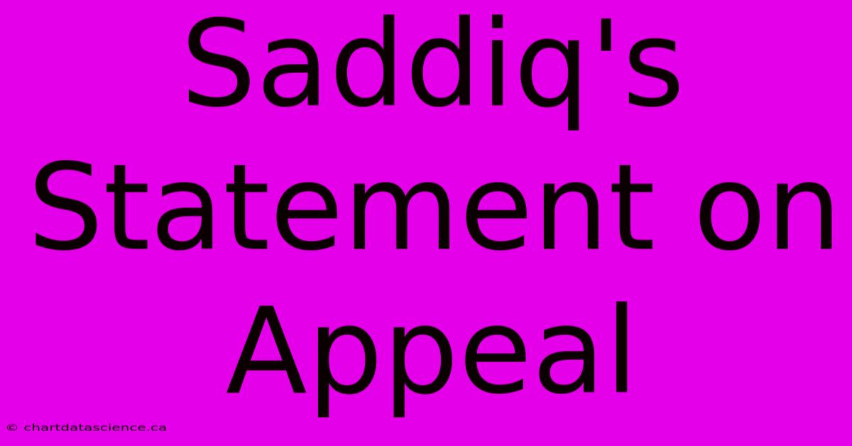 Saddiq's Statement On Appeal