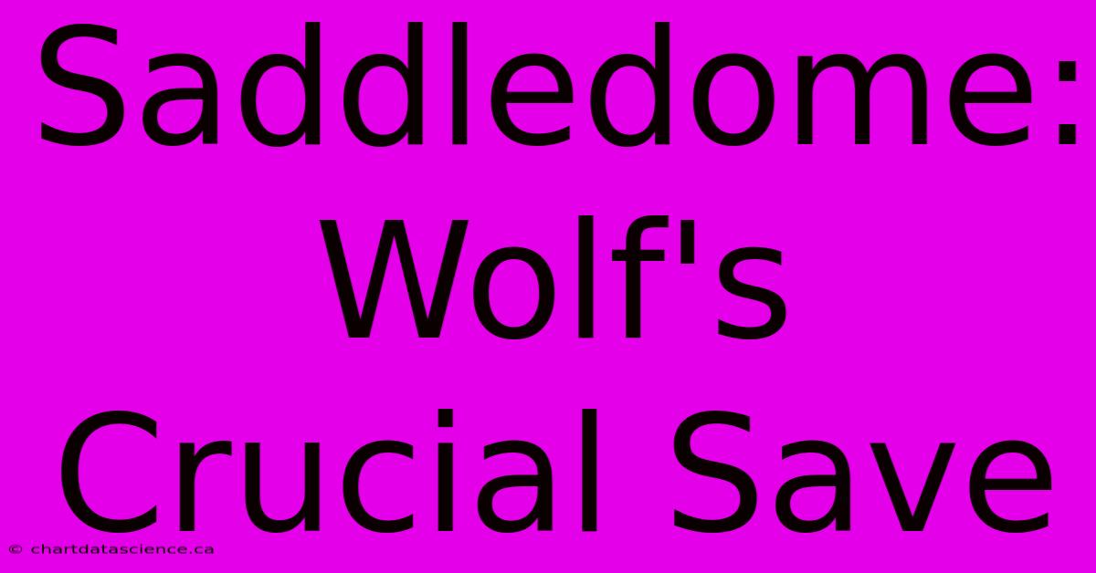 Saddledome: Wolf's Crucial Save