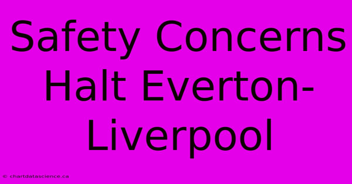 Safety Concerns Halt Everton-Liverpool