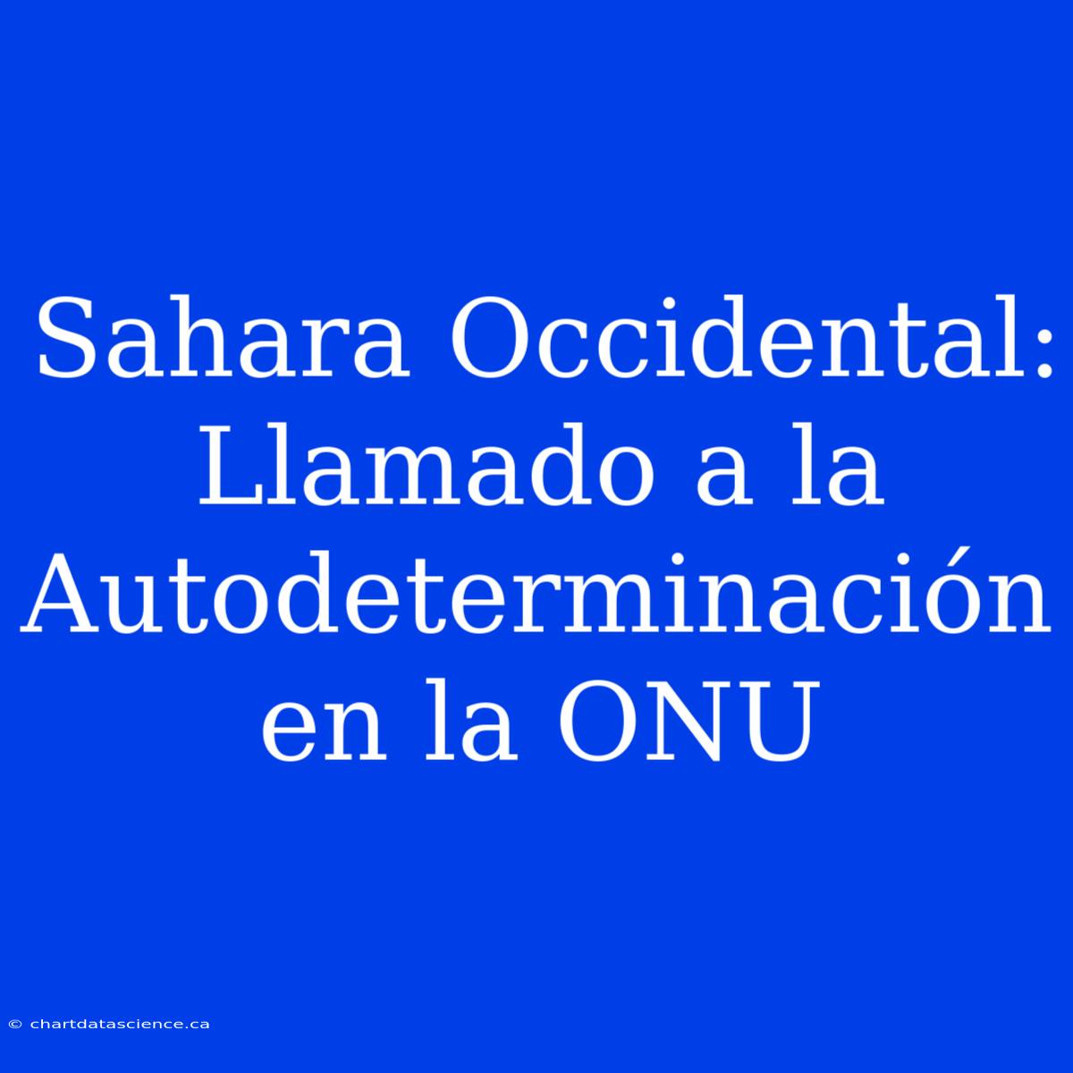 Sahara Occidental: Llamado A La Autodeterminación En La ONU