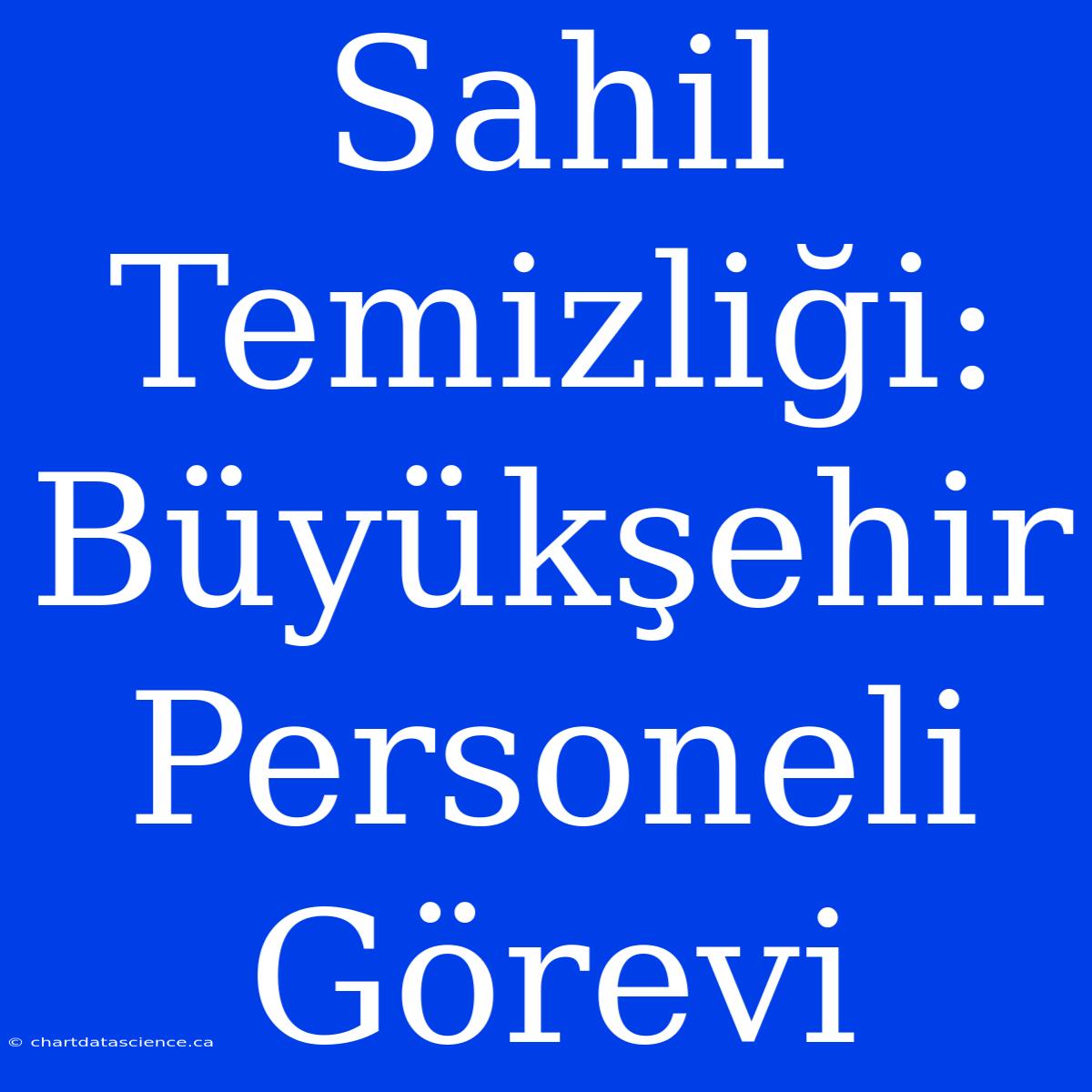 Sahil Temizliği: Büyükşehir Personeli Görevi