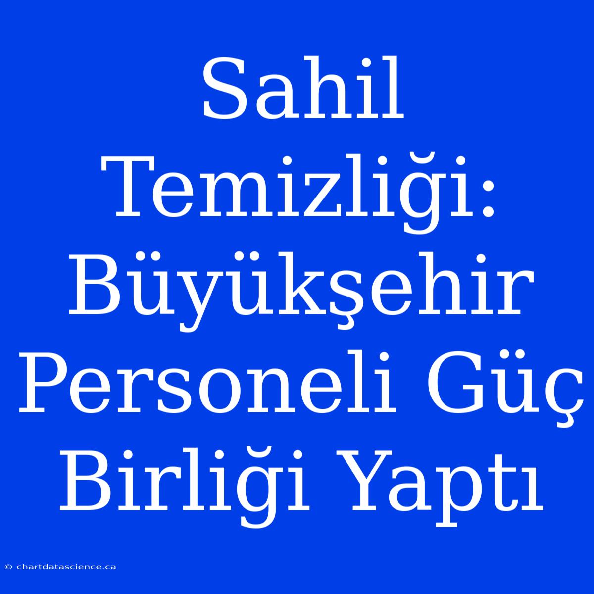 Sahil Temizliği: Büyükşehir Personeli Güç Birliği Yaptı