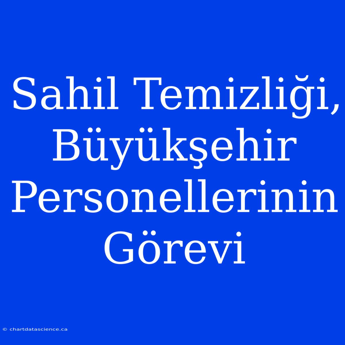 Sahil Temizliği, Büyükşehir Personellerinin Görevi