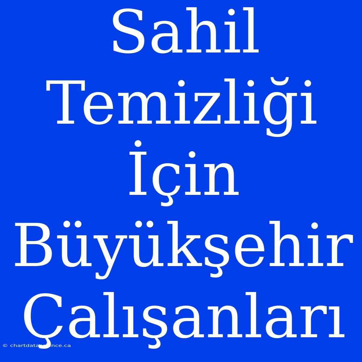 Sahil Temizliği İçin Büyükşehir Çalışanları