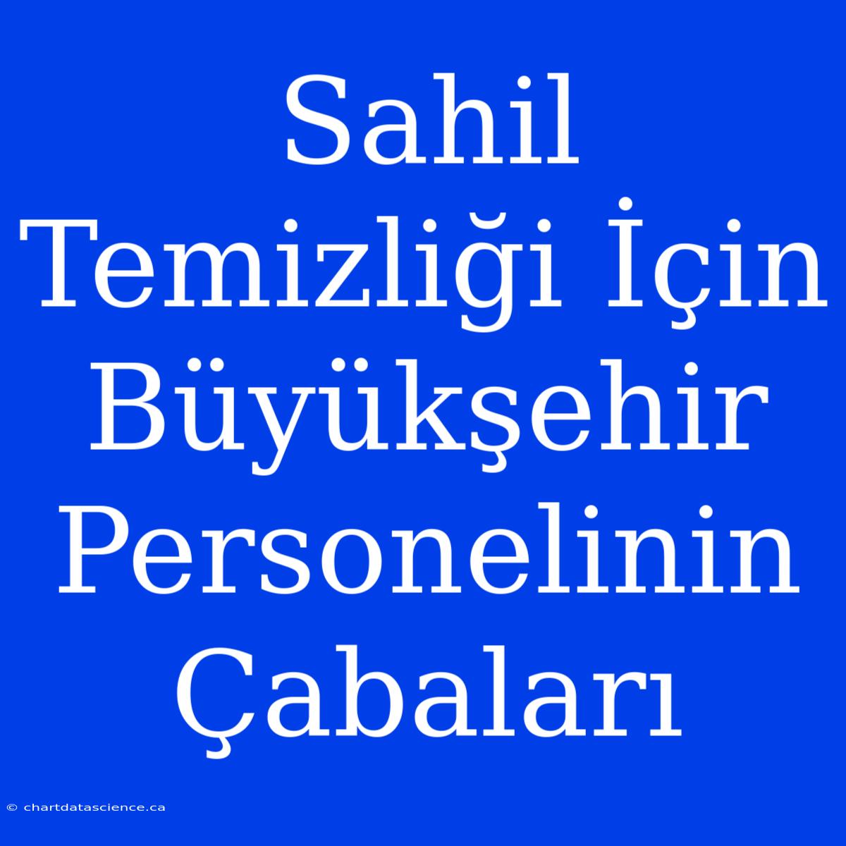 Sahil Temizliği İçin Büyükşehir Personelinin Çabaları