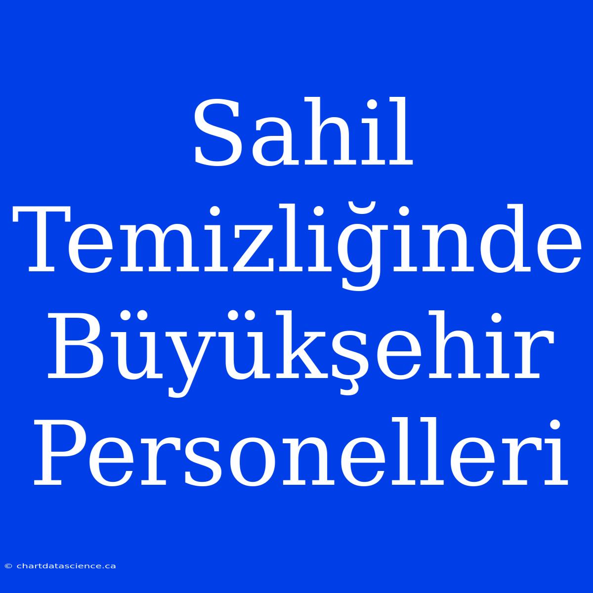 Sahil Temizliğinde Büyükşehir Personelleri