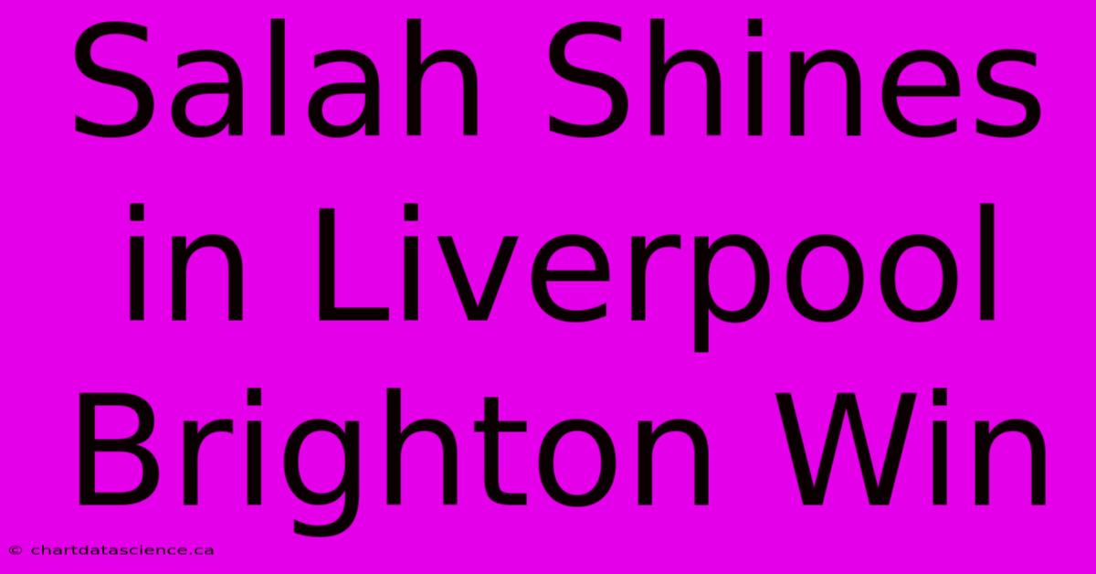 Salah Shines In Liverpool Brighton Win