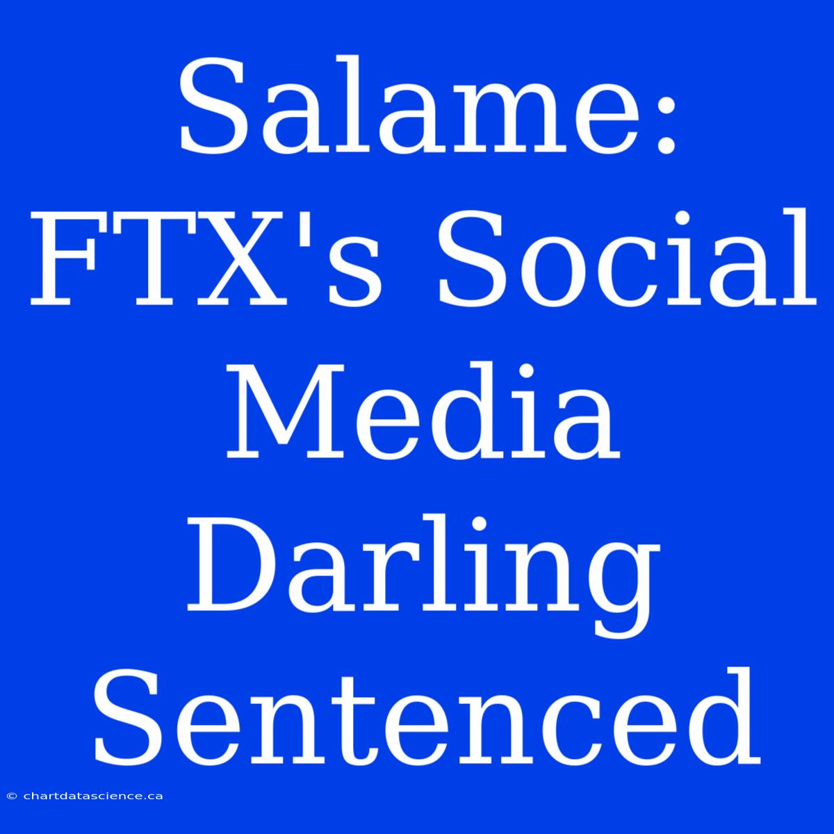 Salame: FTX's Social Media Darling Sentenced