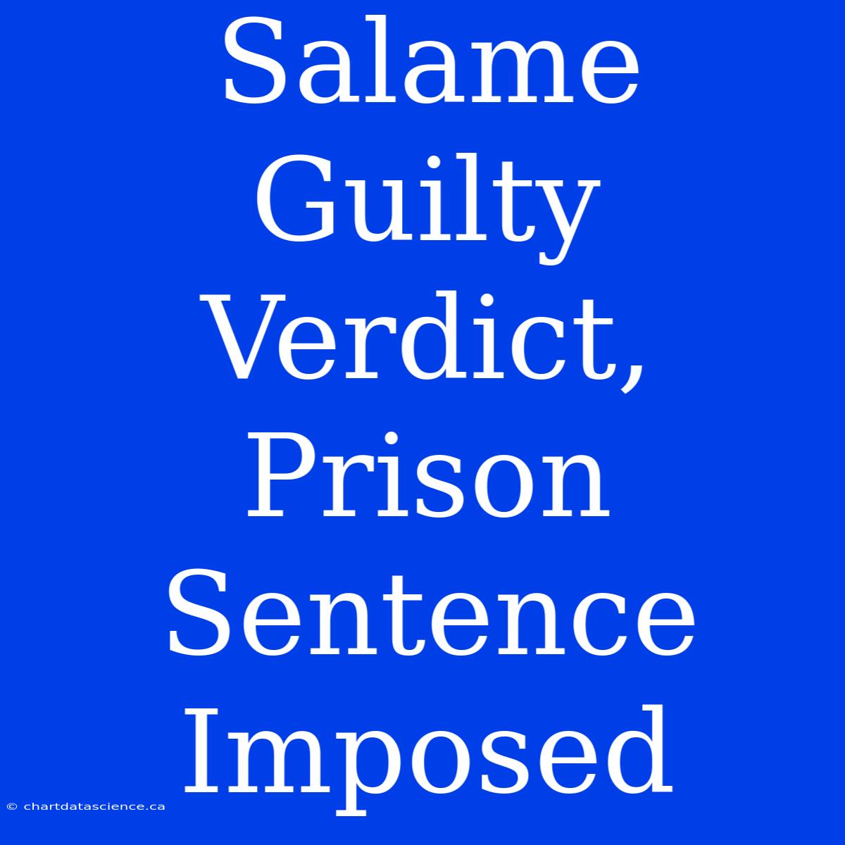 Salame Guilty Verdict, Prison Sentence Imposed