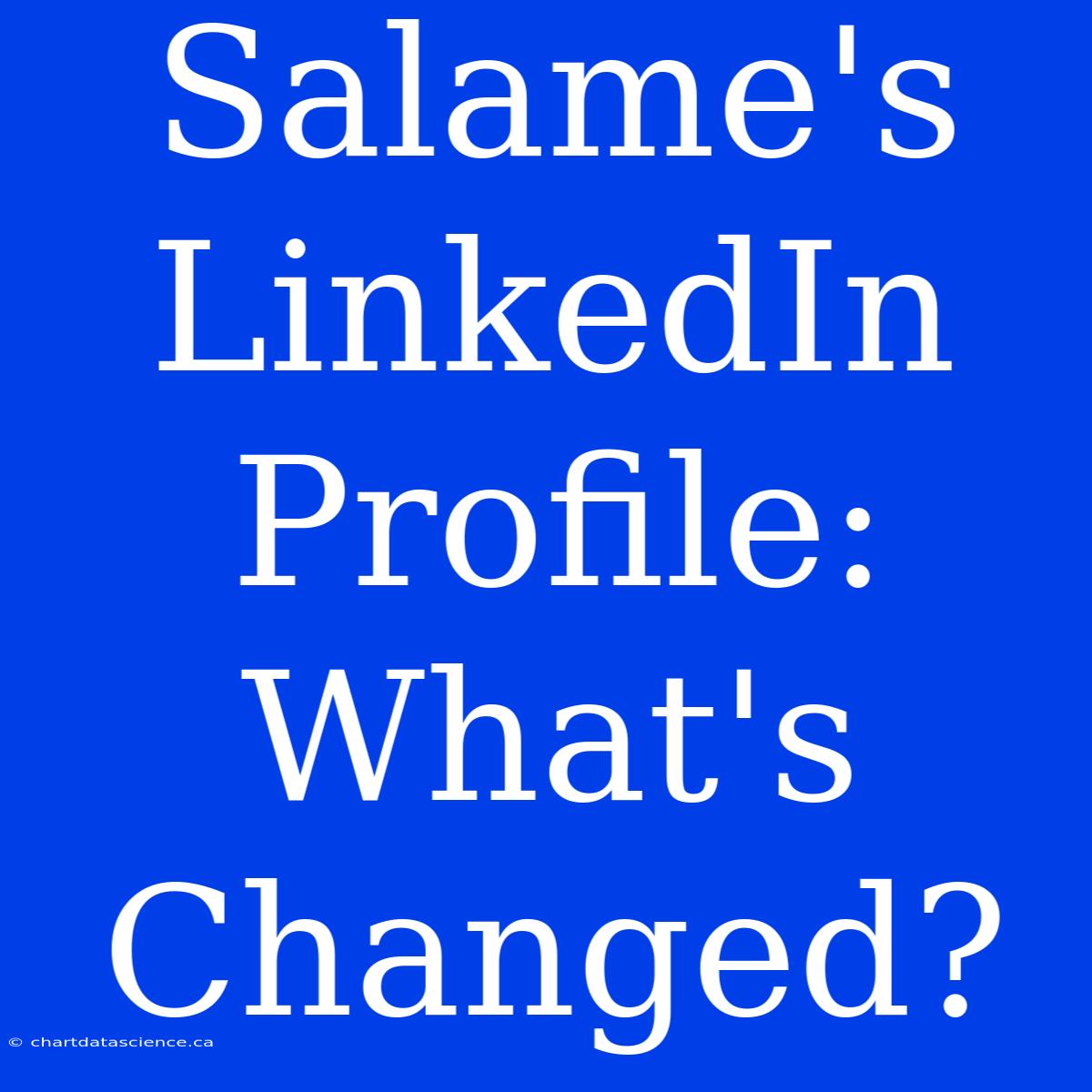 Salame's LinkedIn Profile: What's Changed?