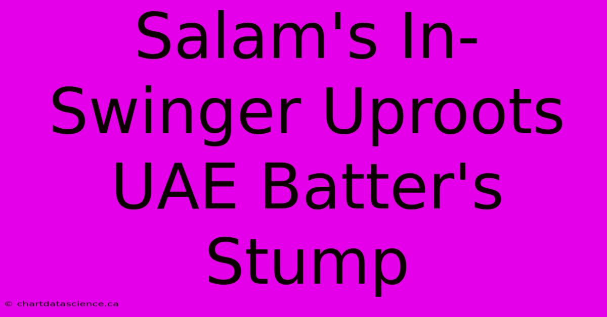 Salam's In-Swinger Uproots UAE Batter's Stump