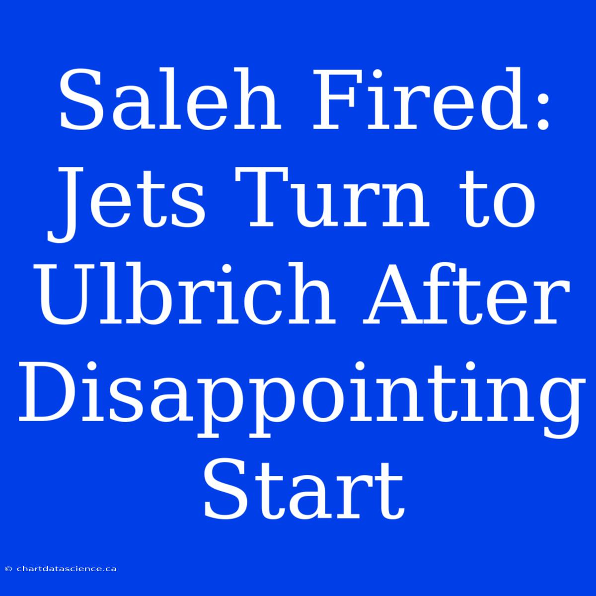 Saleh Fired: Jets Turn To Ulbrich After Disappointing Start