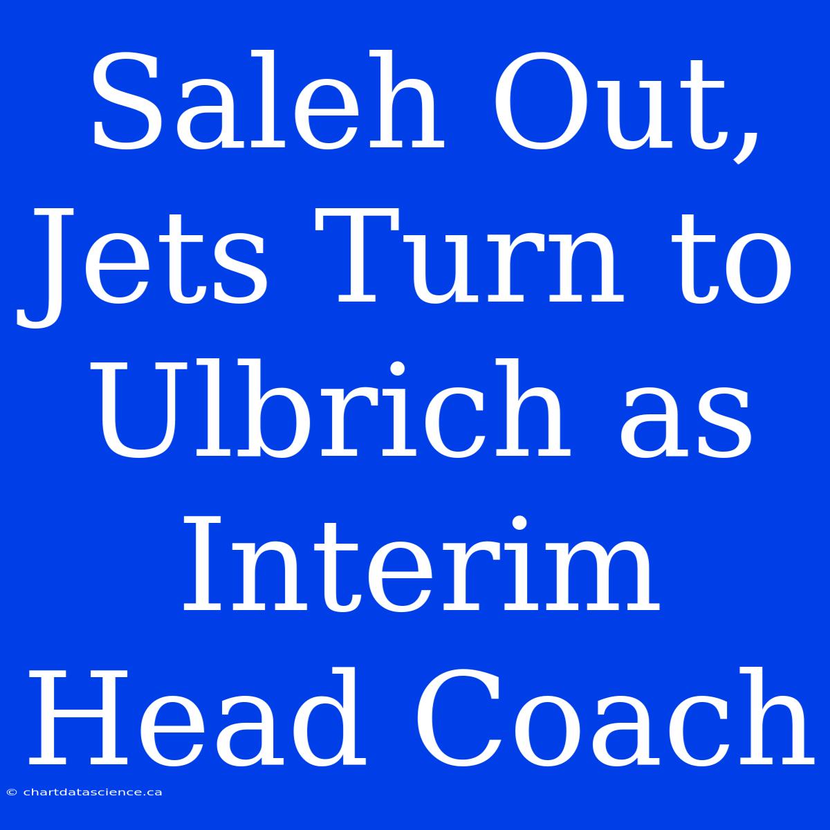 Saleh Out, Jets Turn To Ulbrich As Interim Head Coach