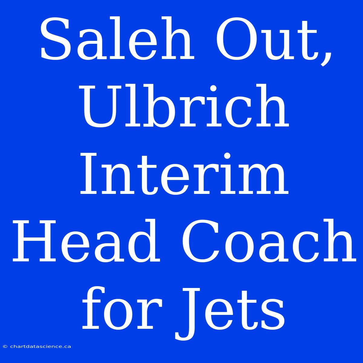 Saleh Out, Ulbrich Interim Head Coach For Jets