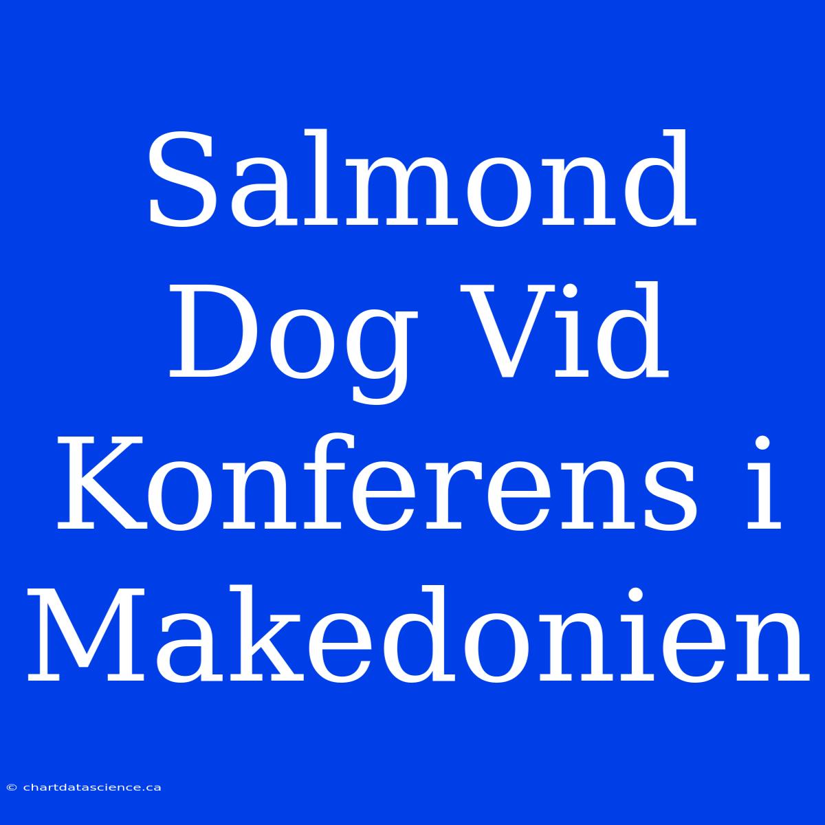 Salmond Dog Vid Konferens I Makedonien