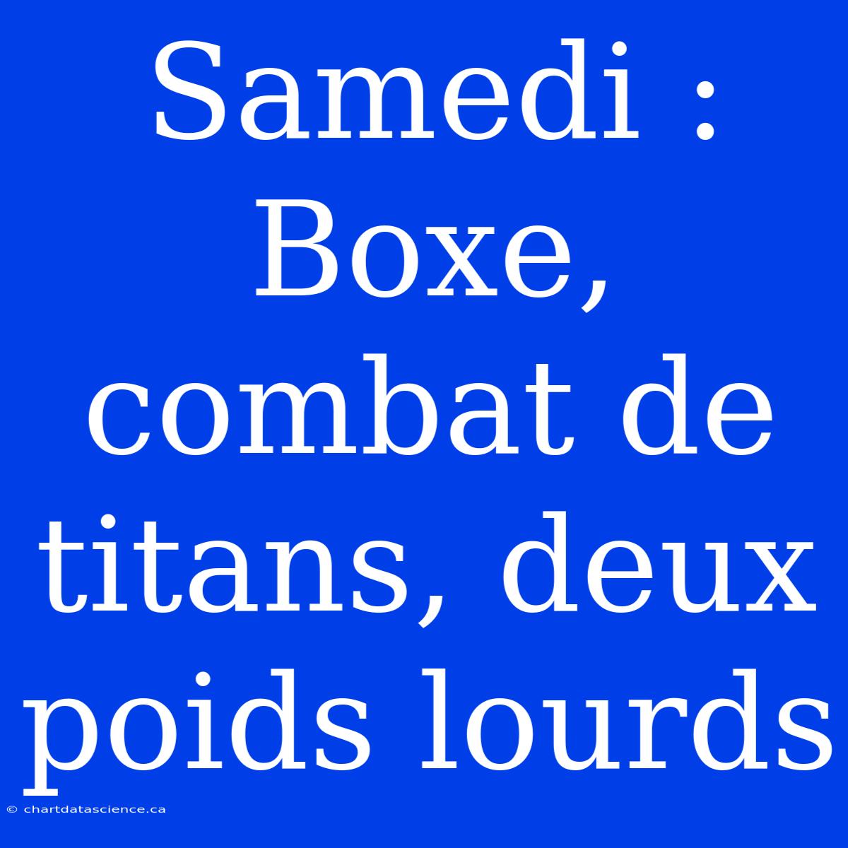 Samedi : Boxe, Combat De Titans, Deux Poids Lourds