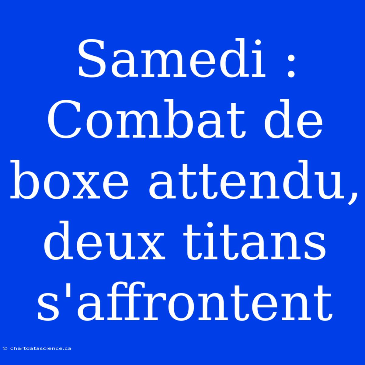 Samedi : Combat De Boxe Attendu, Deux Titans S'affrontent