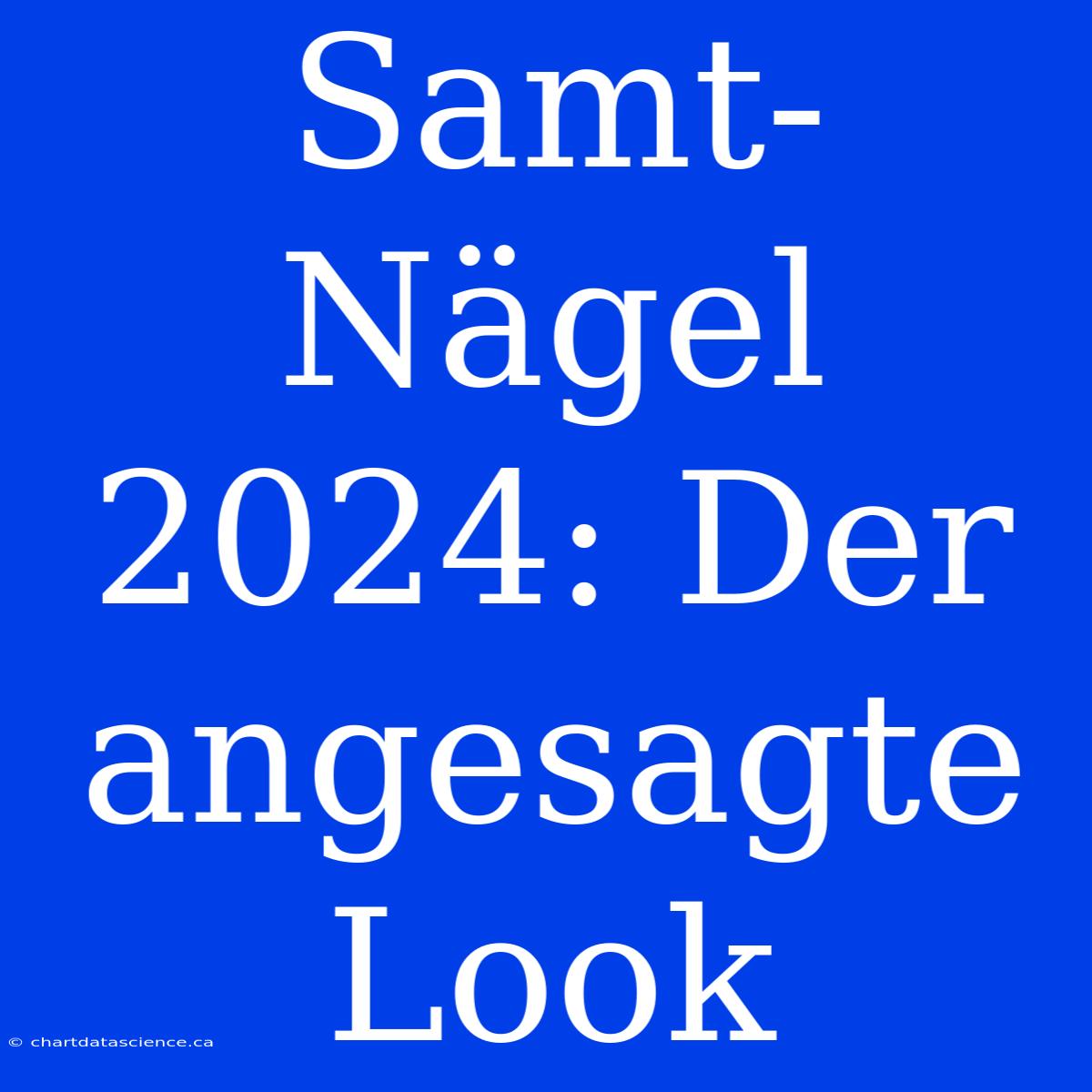 Samt-Nägel 2024: Der Angesagte Look