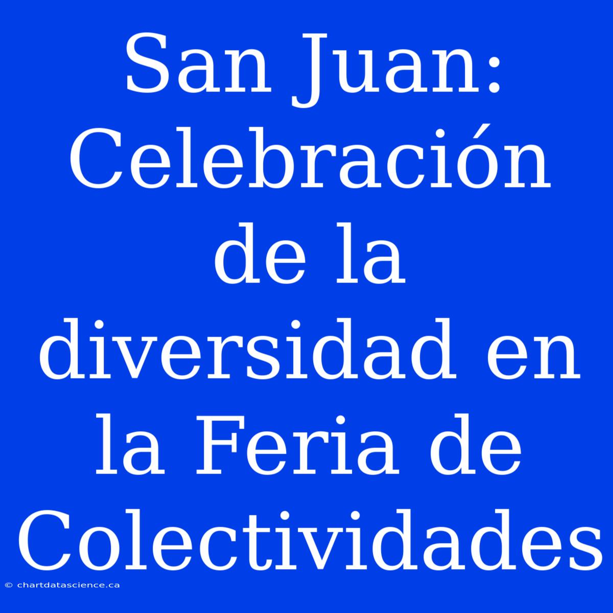 San Juan: Celebración De La Diversidad En La Feria De Colectividades