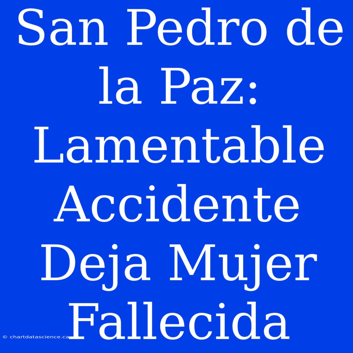 San Pedro De La Paz: Lamentable Accidente Deja Mujer Fallecida