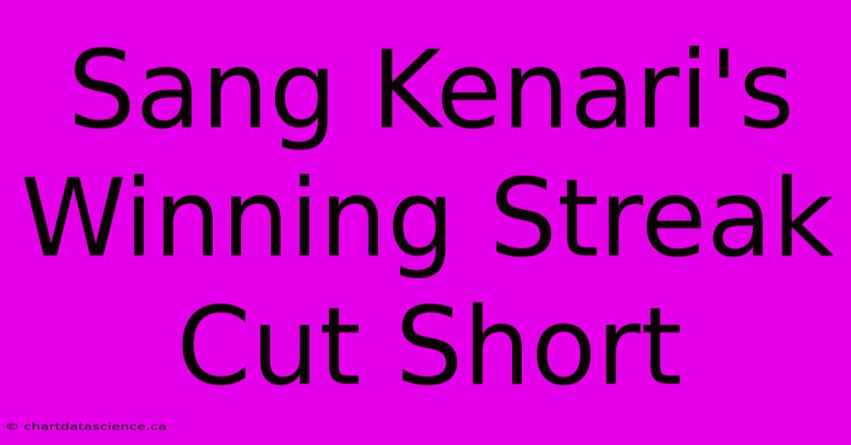 Sang Kenari's Winning Streak Cut Short