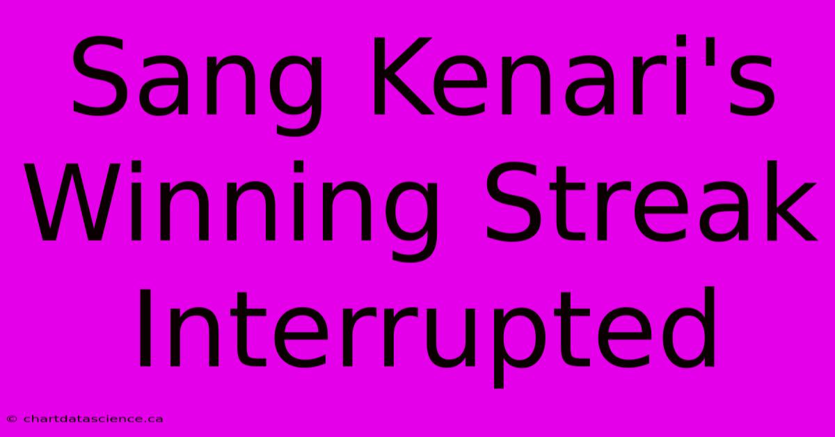 Sang Kenari's Winning Streak Interrupted