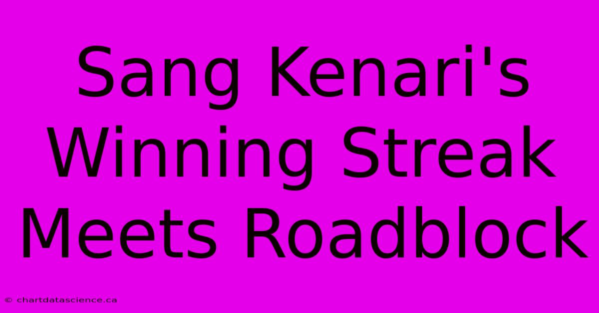 Sang Kenari's Winning Streak Meets Roadblock